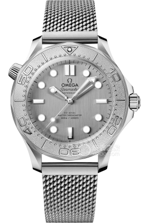 Omega Seamaster 210.30.42.20.06.002 Automatic machinery, precision steel, 42mm