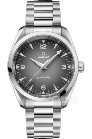 Omega Seamaster 235.10.38.20.06.001 Automatic machinery, precision steel, 38mm
