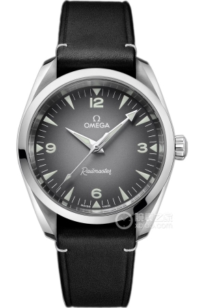 Omega Seamaster 235.12.38.20.06.001 Automatic machinery, precision steel, 38mm