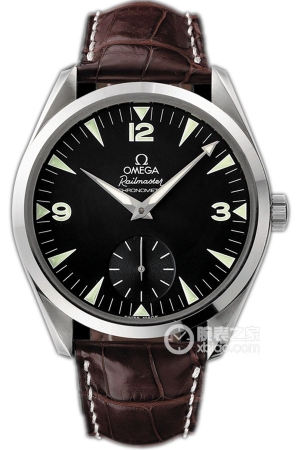 Omega Seamaster 2806.52.37 Automatic machinery, precision steel, 49mm (discontinued)