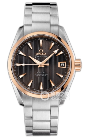 Omega Seamaster 231.20.39.21.06.003 Automatic machinery, precision steel, 38.5mm