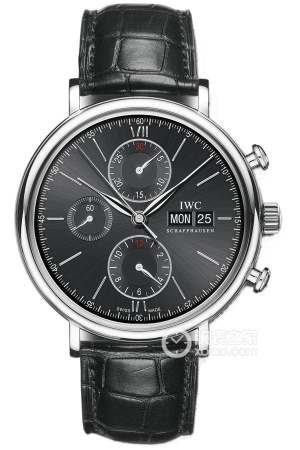 IWC Portofino IW391008 Automatic machinery, precision steel, 42mm