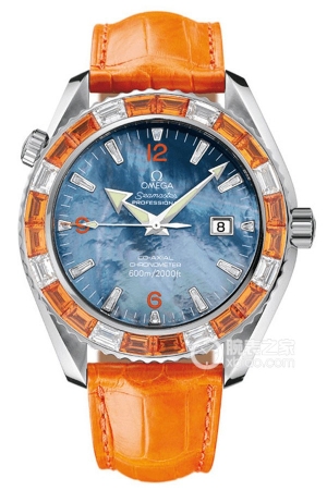 Omega Seamaster 2905.50.38 Automatic machinery, precision steel, 45.5mm (Discontinued)