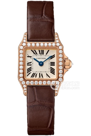 Cartier Santos WF902006 Quartz, 18k rose gold, 28.25mm