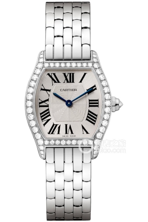 Cartier turtle-shaped WA501011 (small) Manual mechanical, 30 x 24mm