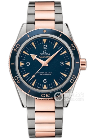 Omega Seamaster 233.60.41.21.03.001 Automatic machinery, titanium, 41mm