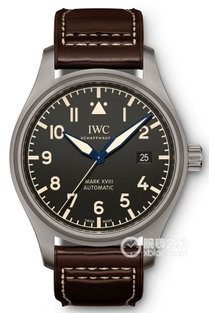 IWC Pilot's Watch IW327006 Automatic machinery, titanium, 40mm