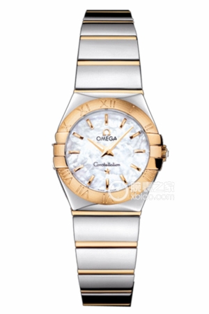 Omega Constellation 123.20.24.60.05.004 Quartz, stainless steel, 24mm (Discontinued)