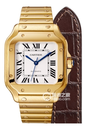 Cartier Santos WGSA0010 (Medium) Automatic machinery, 18k gold, 35.1mm