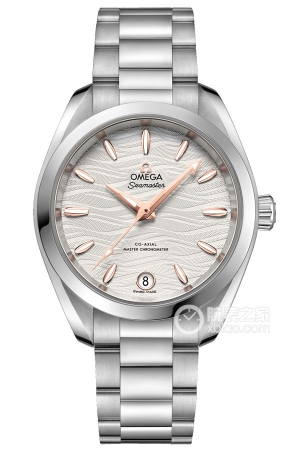 Omega Seamaster 220.10.34.20.02.001 Automatic machinery, precision steel, 34mm