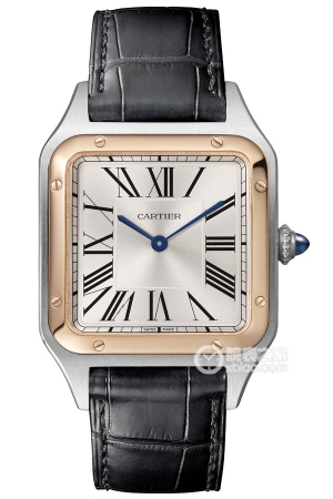 Cartier Santos W2SA0011 (Large) Stainless steel, 43.5 x 31.4mm