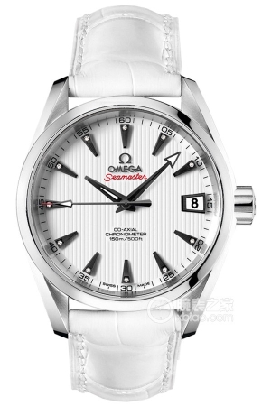 Omega Seamaster 231.13.39.21.54.001 Automatic machinery, precision steel, 38.5mm
