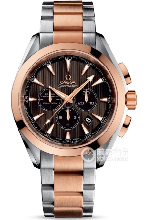 Omega Seamaster 231.20.44.50.06.001 Automatic machinery, precision steel, 44mm