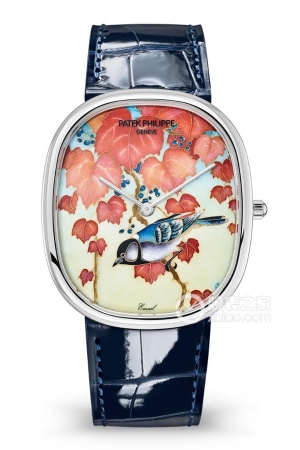 Patek Philippe Rare Craftsmanship 5738/50G-012 Automatic mechanical parts, 18k white gold, 34.5mm