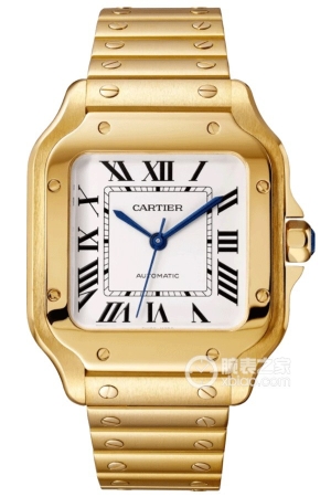 Cartier Santos WGSA0030 Automatic machinery, 18k gold, 35.1mm