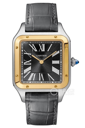 Cartier Santos W2SA0015 Manual mechanical device, stainless steel, 43.5 x 31.4mm