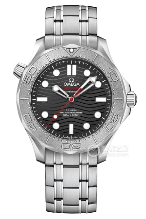 Omega Seamaster 210.30.42.20.01.002 Automatic machinery, precision steel, 42mm