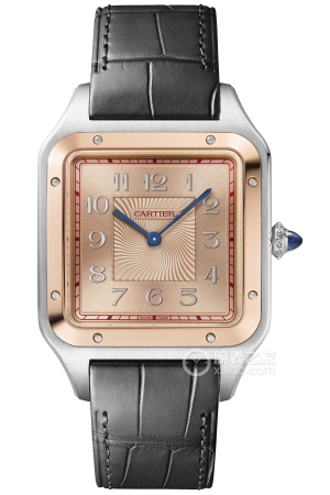 Cartier Santos W2SA0025 Manual mechanical device, stainless steel, 46.6 x 33.9mm