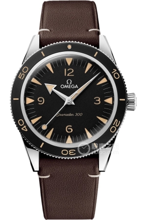 Omega Seamaster 234.32.41.21.01.001 Automatic machinery, precision steel, 41mm