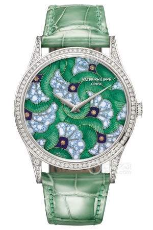 Patek Philippe Rare Craftsmanship 5077/100G-043