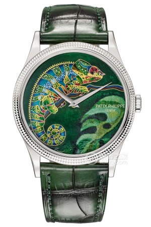 Patek Philippe Rare Craftsmanship 5177G-027