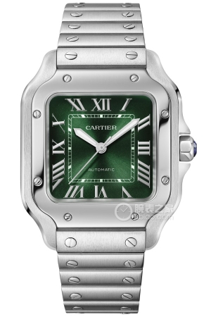 Cartier Santos WSSA0061 Automatic machinery, precision steel, 35.1mm