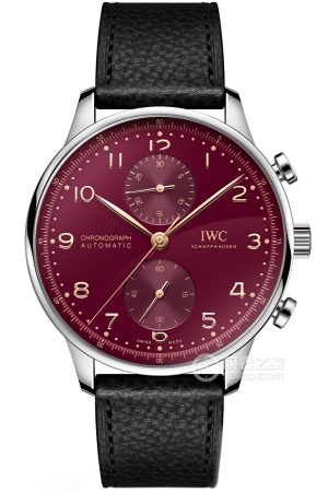 IWC Portuguese IW371629 Automatic machinery, precision steel, 41mm