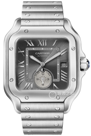 Cartier Santos WSSA0076 Automatic machinery, stainless steel, 40.2x47.5mm
