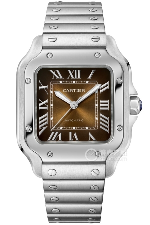 Cartier Santos WSSA0065 Automatic machinery, stainless steel, 35.1 x 41.9 mm